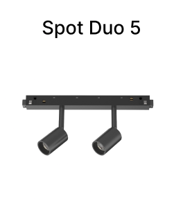 Light Insert 19.png