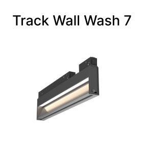 Light Insert 24.png